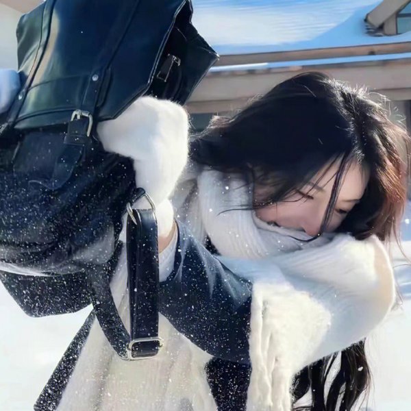 完美家庭